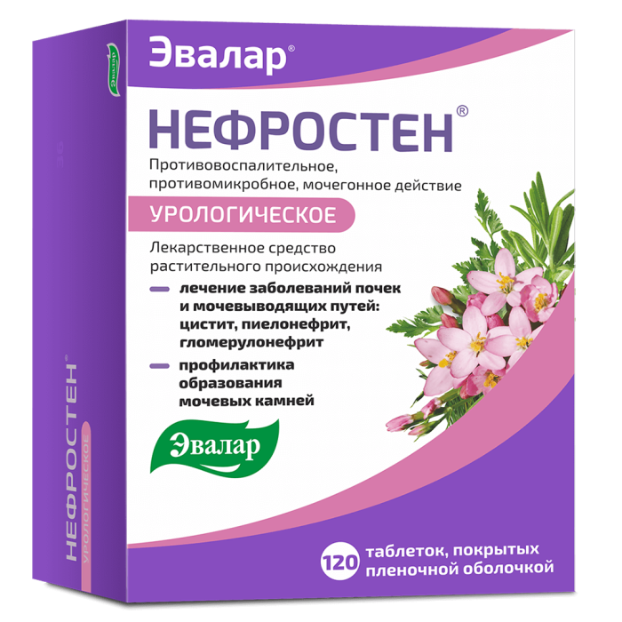 Нефростен Эвалар таблетки покрытые пленочной оболочкой 120 шт