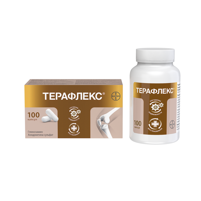 Терафлекс капсулы 500 мг+400 мг 100 шт