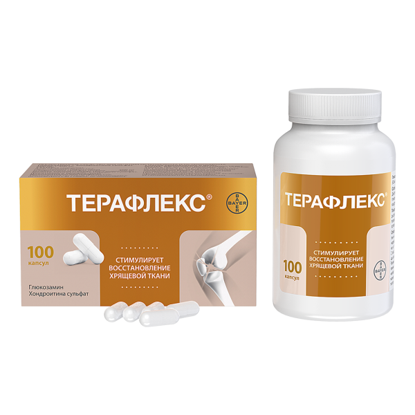 Терафлекс капсулы 500 мг+400 мг 100 шт