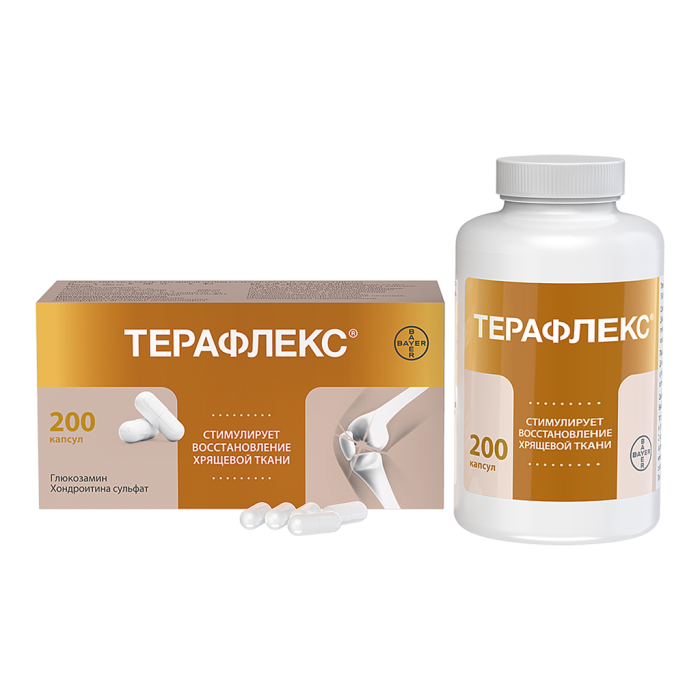 Терафлекс капсулы 500 мг+400 мг 200 шт