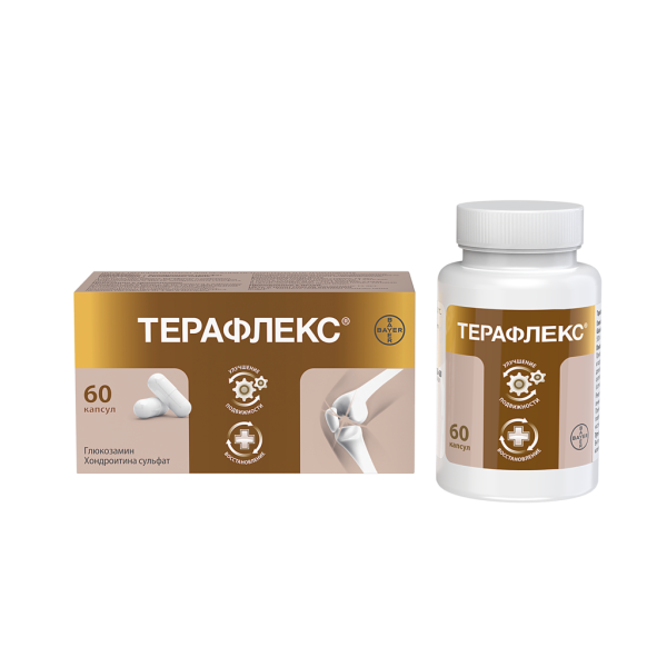 Терафлекс капсулы 500 мг+400 мг 60 шт