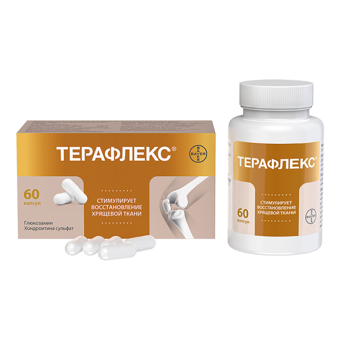 Терафлекс капсулы 500 мг+400 мг 60 шт