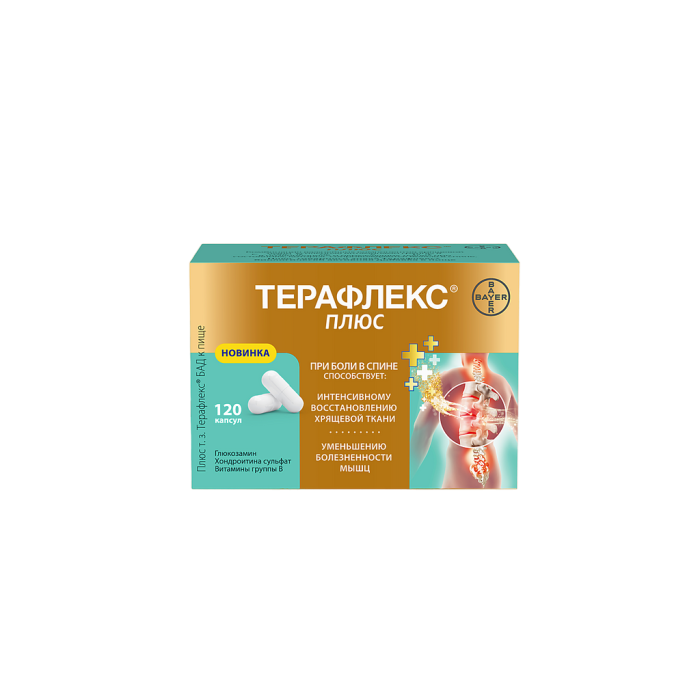 Терафлекс Плюс капсулы массой 740 мг 120 шт